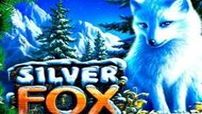 Silver Fox